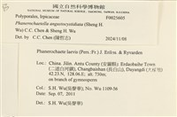 登錄號:F0025605藏品圖，第4張