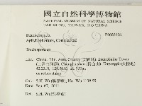 館號:F0025606藏品圖，第2張