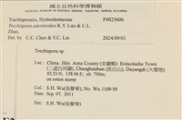 館號:F0025606藏品圖，第3張
