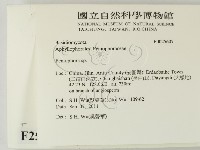 筍殼菌屬藏品圖，第2張