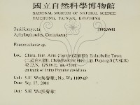 登錄號:F0025608藏品圖，第2張