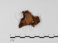 登錄號:F0025608藏品圖，第3張