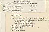 登錄號:F0025608藏品圖，第4張