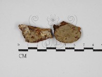 登錄號:F0025609藏品圖，第1張