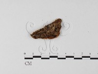 登錄號:F0025609藏品圖，第3張