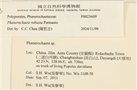 登錄號:F0025609藏品圖，第4張