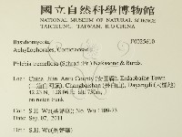 登錄號:F0025610藏品圖，第2張