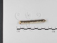 登錄號:F0025612藏品圖，第3張