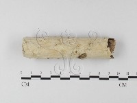 登錄號:F0025613藏品圖，第1張