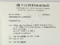 絲皮菌屬藏品圖，第2張