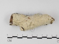 登錄號:F0025616藏品圖，第1張