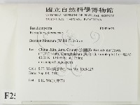 登錄號:F0025619藏品圖，第2張