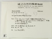 登錄號:F0025622藏品圖，第2張