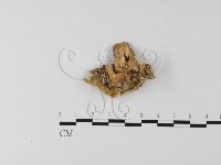 登錄號:F0025622藏品圖，第3張