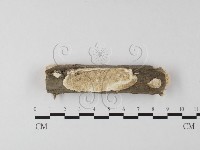 登錄號:F0025623藏品圖，第1張