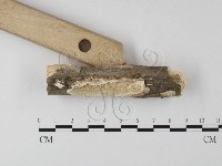 登錄號:F0025623藏品圖，第3張