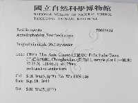 登錄號:F0025624藏品圖，第2張