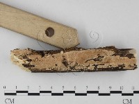 登錄號:F0025624藏品圖，第3張