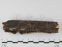 登錄號:F0025624藏品圖，第4張