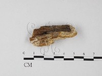 登錄號:F0025625藏品圖，第3張