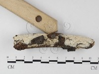 登錄號:F0025626藏品圖，第3張