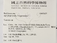 栓菌屬藏品圖，第2張