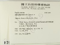 登錄號:F0025629藏品圖，第2張