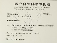 多年臥孔菌屬藏品圖，第2張
