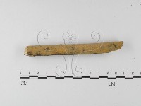 登錄號:F0025634藏品圖，第3張