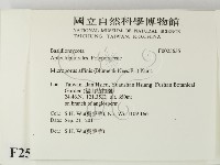 相鄰小孔菌藏品圖，第2張