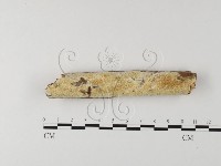 登錄號:F0025636藏品圖，第1張