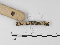 登錄號:F0025637藏品圖，第3張