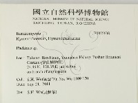 木層孔菌屬藏品圖，第2張