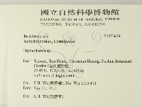 絲皮菌屬藏品圖，第2張