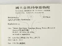 絲皮菌屬藏品圖，第2張