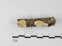 登錄號:F0025641藏品圖，第3張