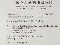 相鄰小孔菌藏品圖，第2張