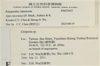 登錄號:F0025643藏品圖，第5張