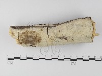 登錄號:F0025645藏品圖，第1張