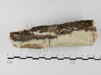 登錄號:F0025645藏品圖，第3張