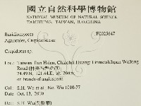 登錄號:F0025647藏品圖，第2張