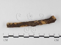 登錄號:F0025647藏品圖，第1張