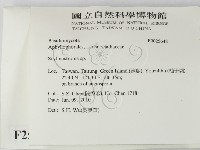 登錄號:F0025648藏品圖，第2張
