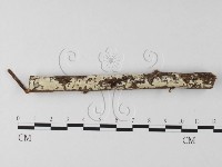 登錄號:F0025651藏品圖，第1張