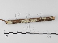 登錄號:F0025651藏品圖，第4張