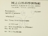 登錄號:F0025652藏品圖，第2張