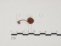 登錄號:F0025652藏品圖，第1張