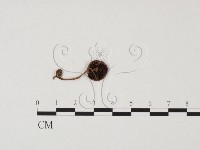 登錄號:F0025652藏品圖，第3張