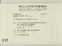 登錄號:F0025653藏品圖，第2張