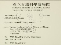 登錄號:F0025654藏品圖，第2張